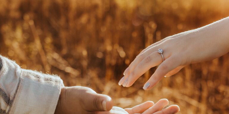 Sierra & Silvestre Home Page Banner
