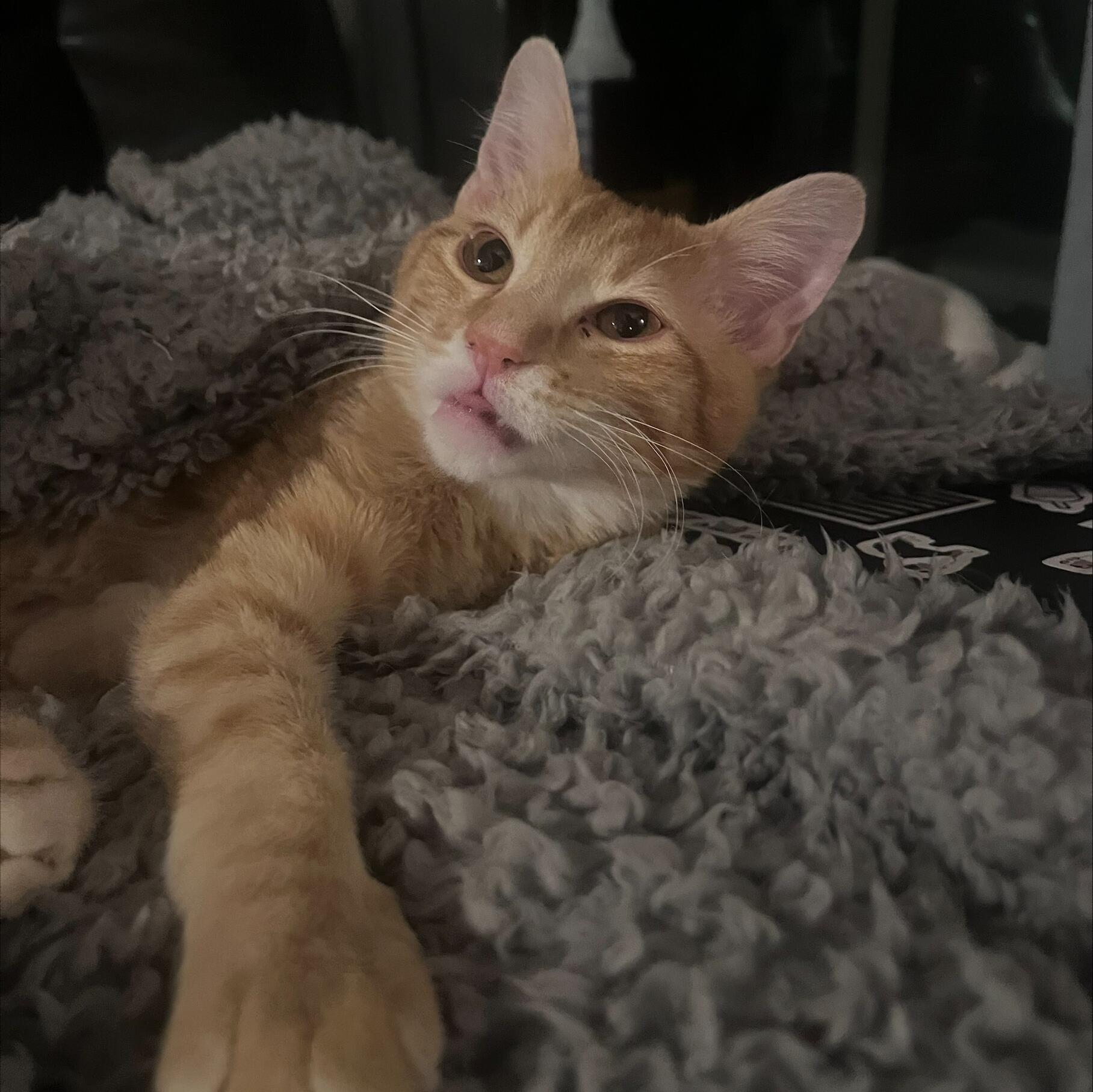 Bennie