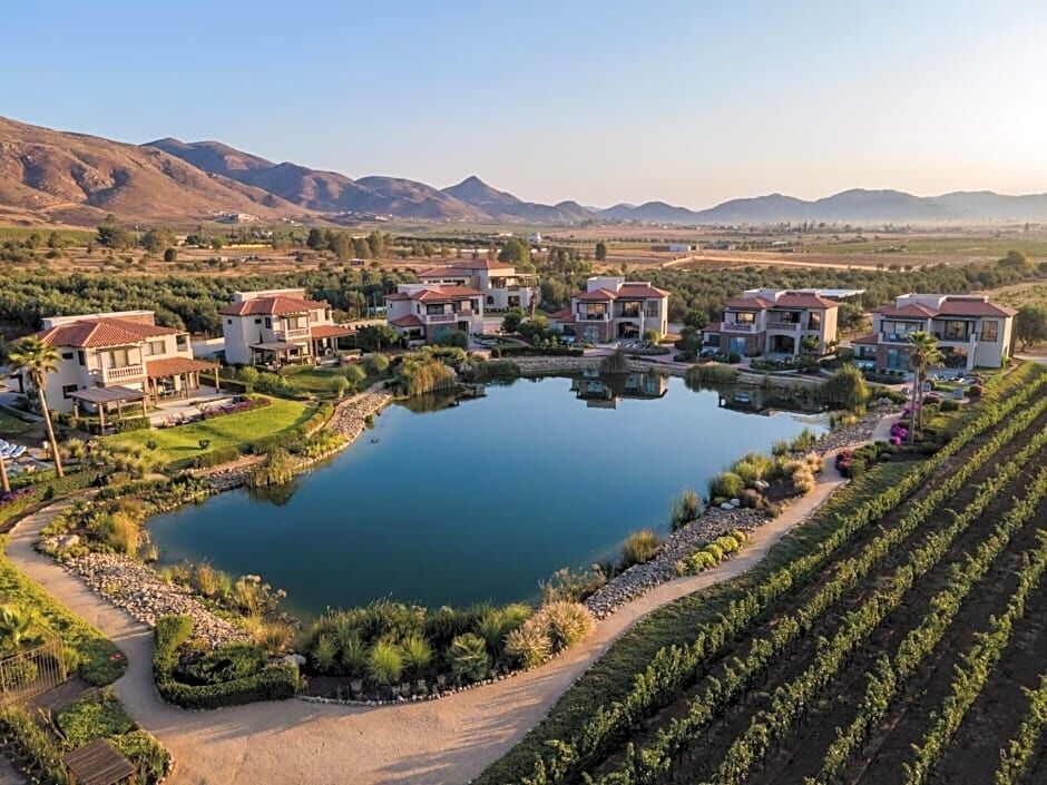 Picture of Hotel El Cielo Resort Valle de Guadalupe
