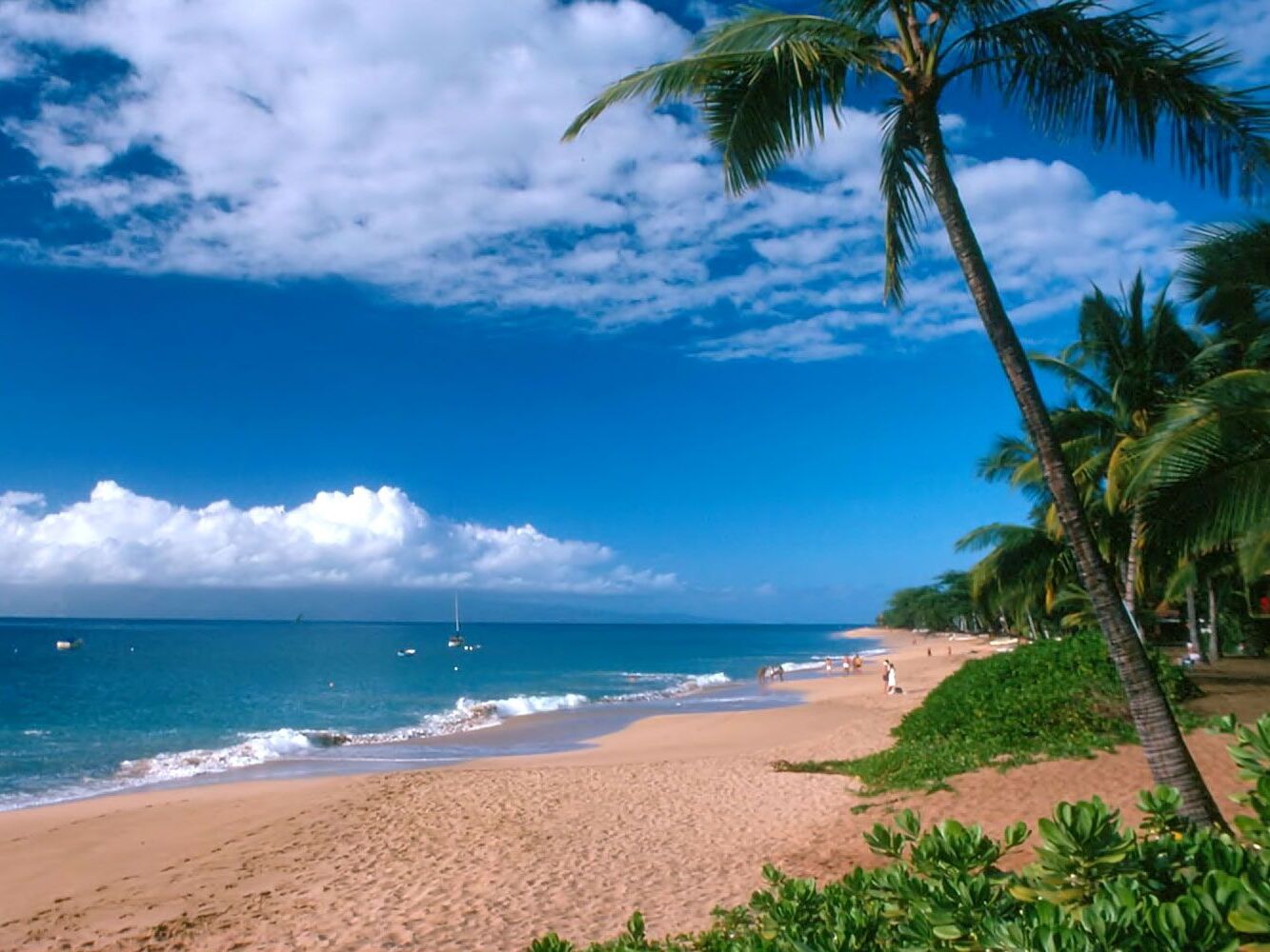 Picture of KA'ANAPALI BEACH 