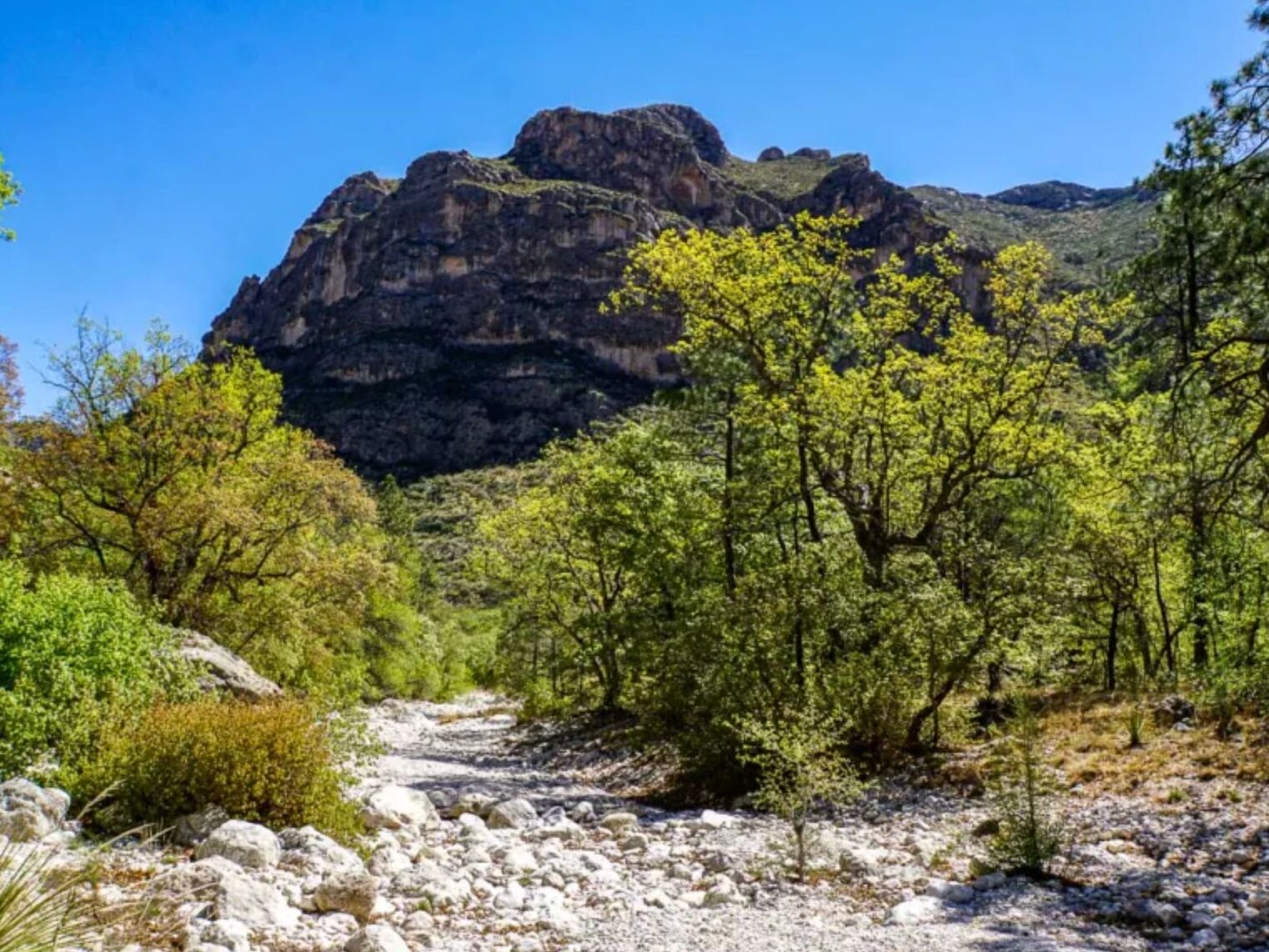 Picture of McKittrick Canyon Trailhead