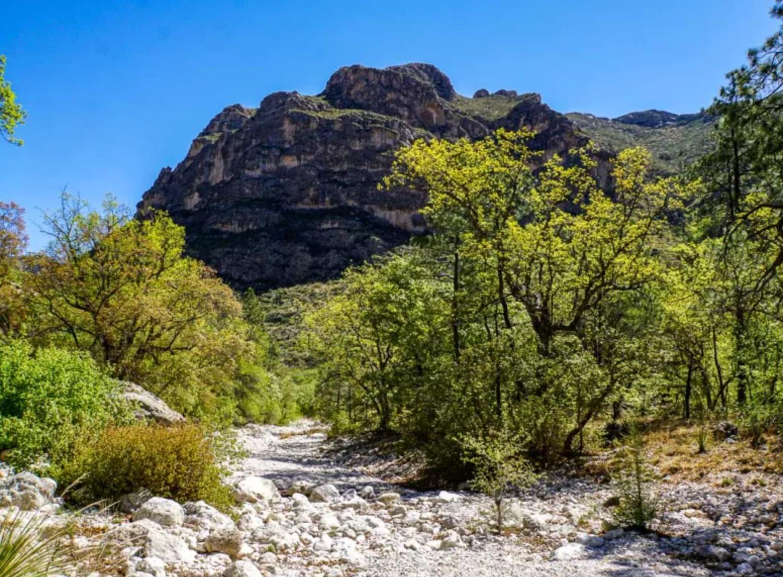 Picture of McKittrick Canyon Trailhead