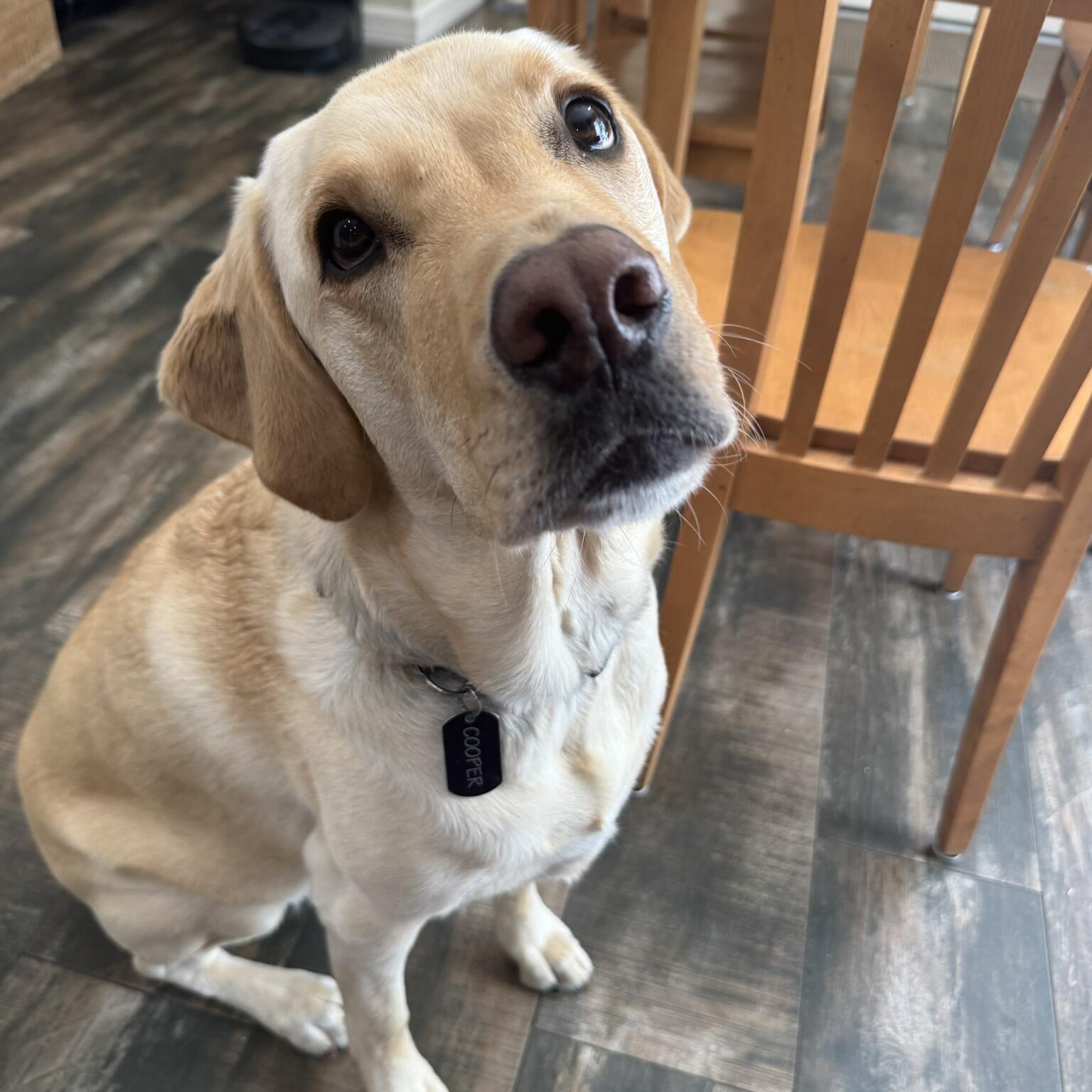 Cooper