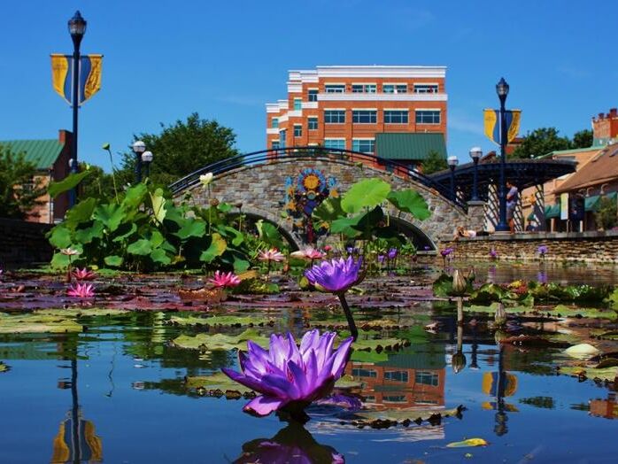 Picture of Downtown Frederick Partnership