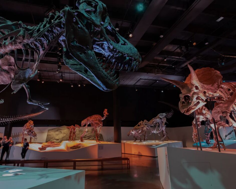 Picture of Houston Museum of Natural Science