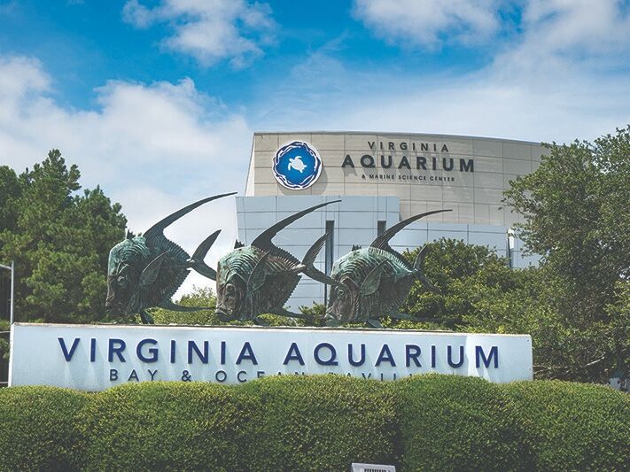 Picture of Virginia Aquarium & Marine Science Center