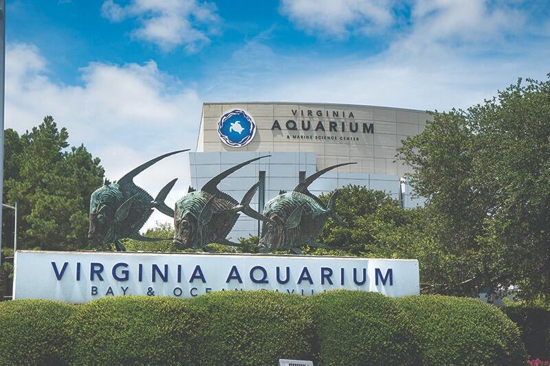 Picture of Virginia Aquarium & Marine Science Center