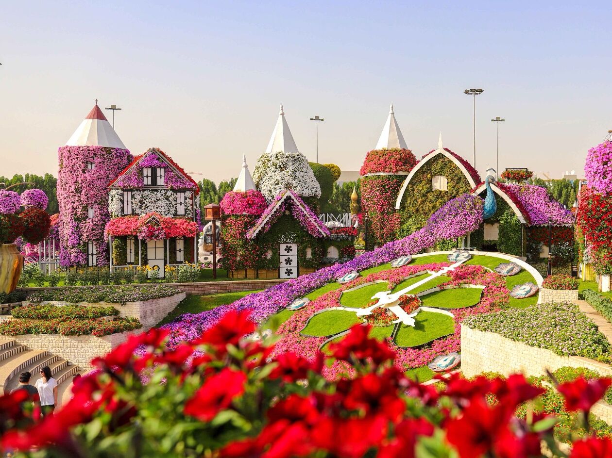 Picture of Dubai Miracle Garden