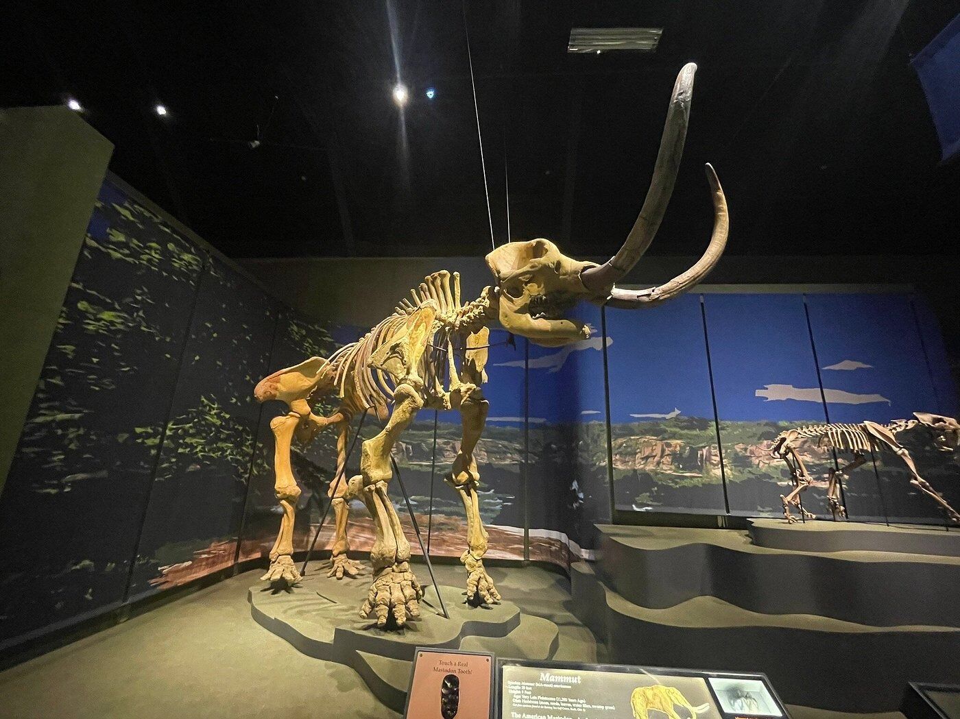 Picture of Tellus Science Museum