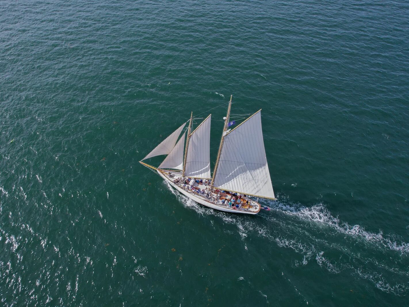 Picture of Portland Schooner Co.