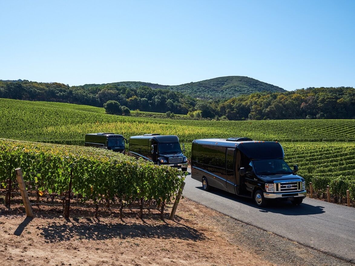 Picture of Beau Wine Tours & Limousine Service