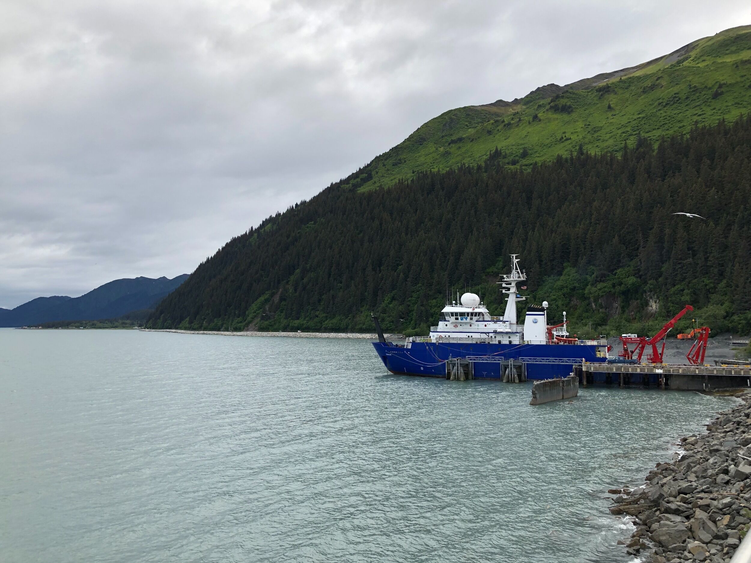 Picture of Seward and the Alaska Sealife Center