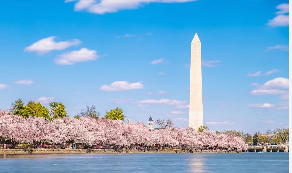 Picture of National Mall