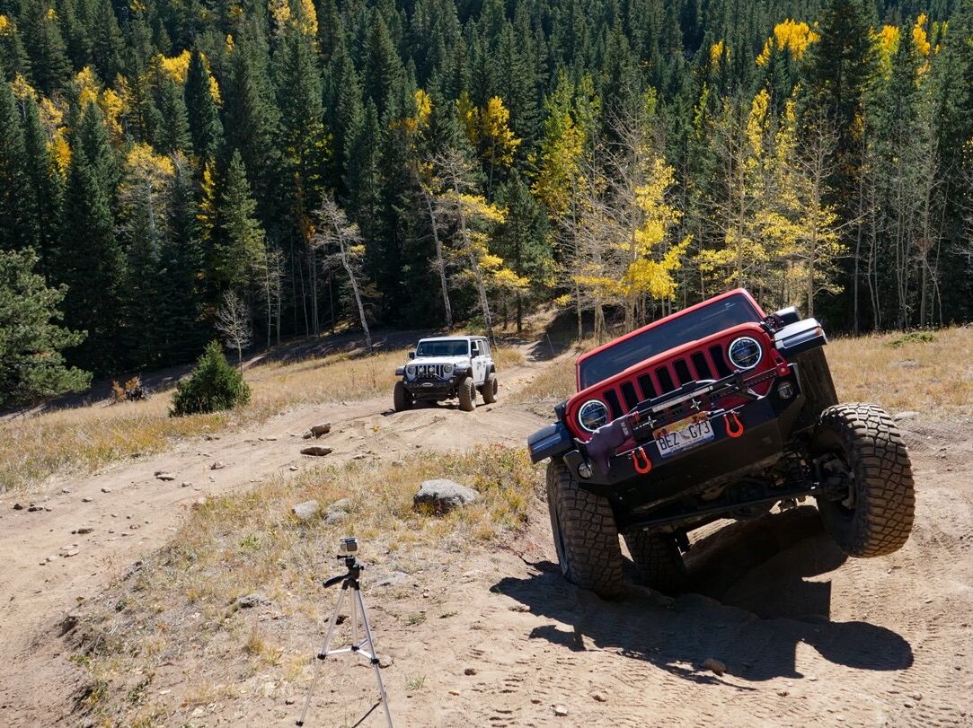 Picture of Barbour Fork OHV Area Trailhead