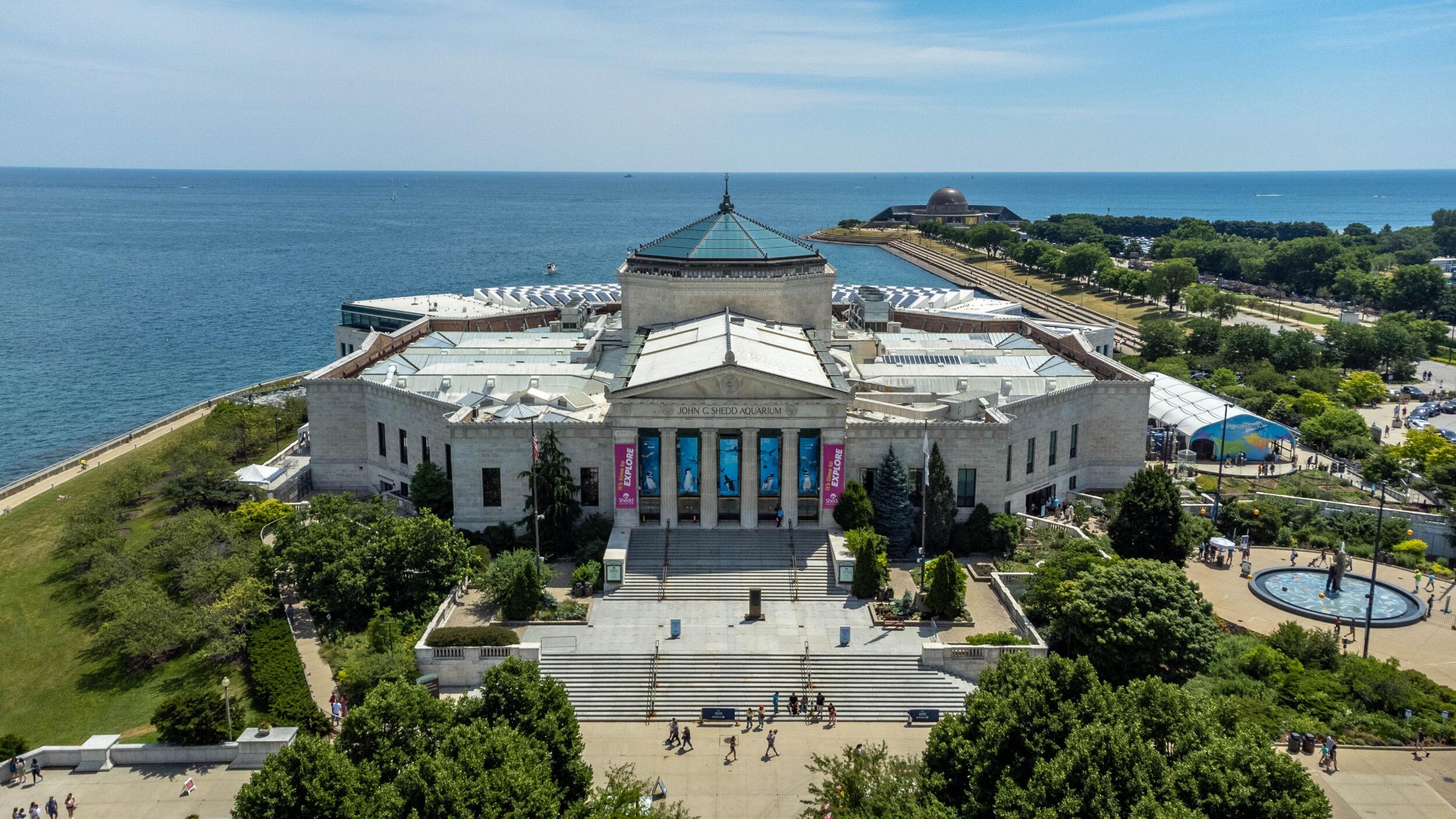Picture of Shedd Aquarium