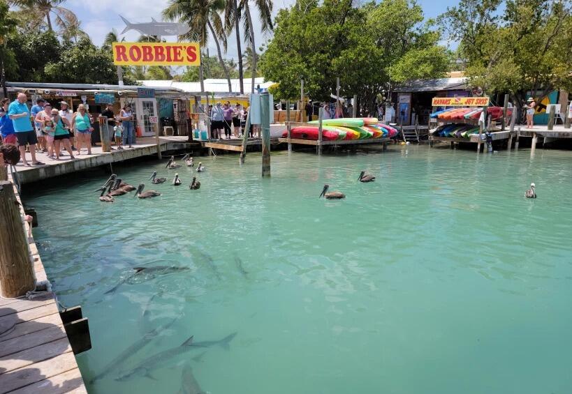 Picture of Robbie's of Islamorada