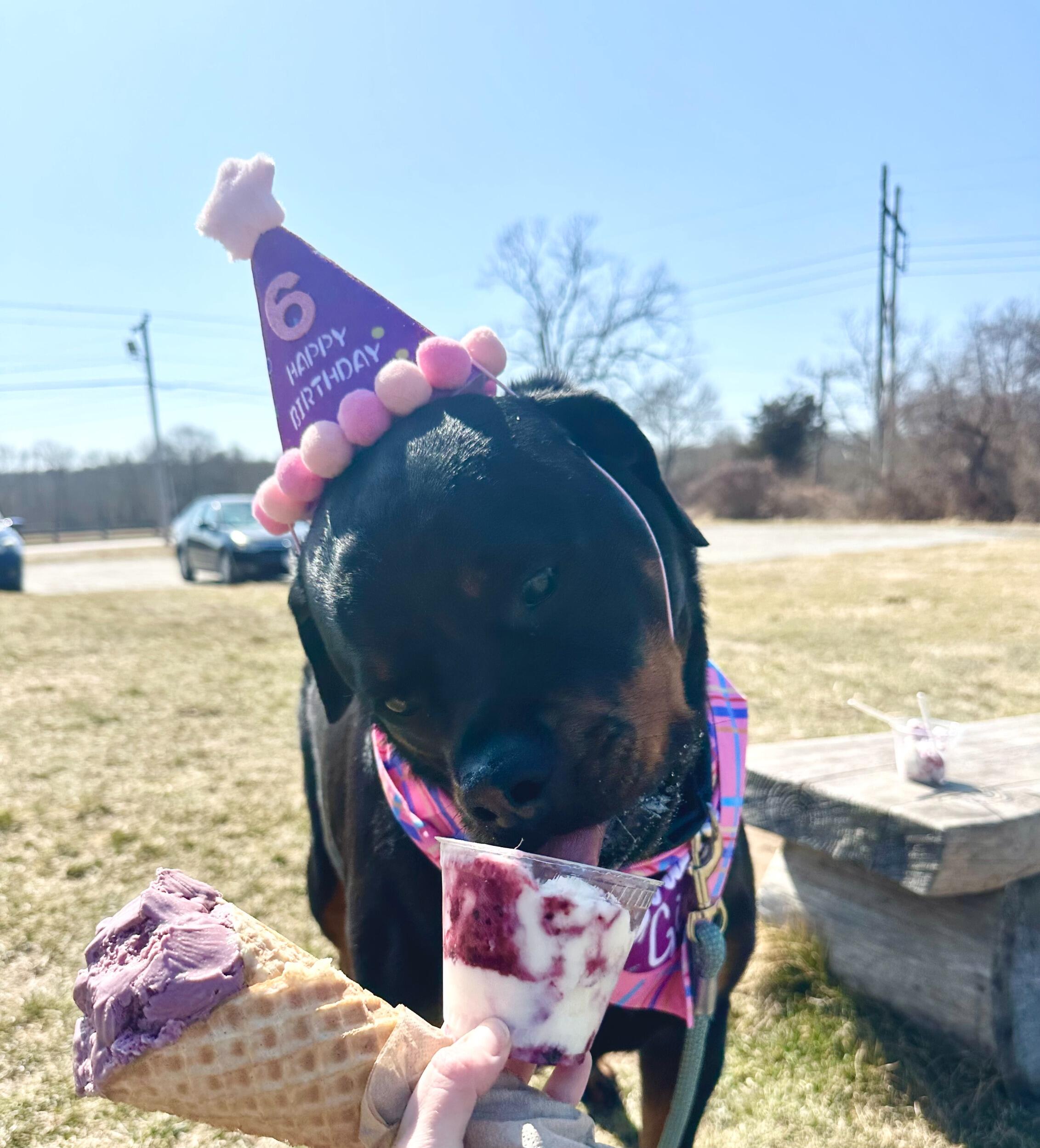 Picture of The Ice Cream Barn