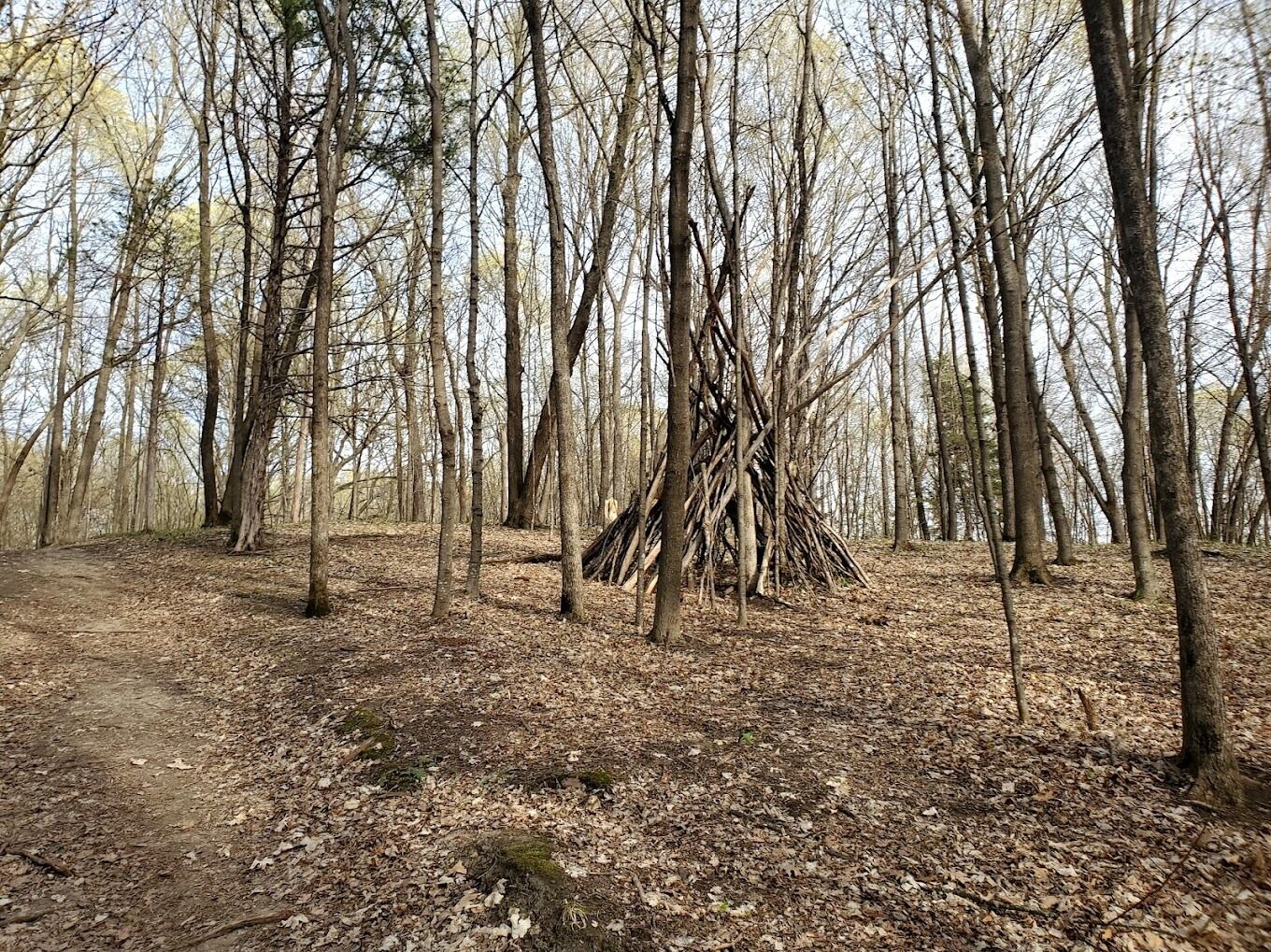Picture of Hiking In The Area