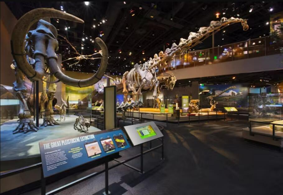 Picture of Perot Museum of Nature and Science