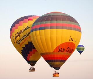 Picture of California Dreamin' Balloon Adventures