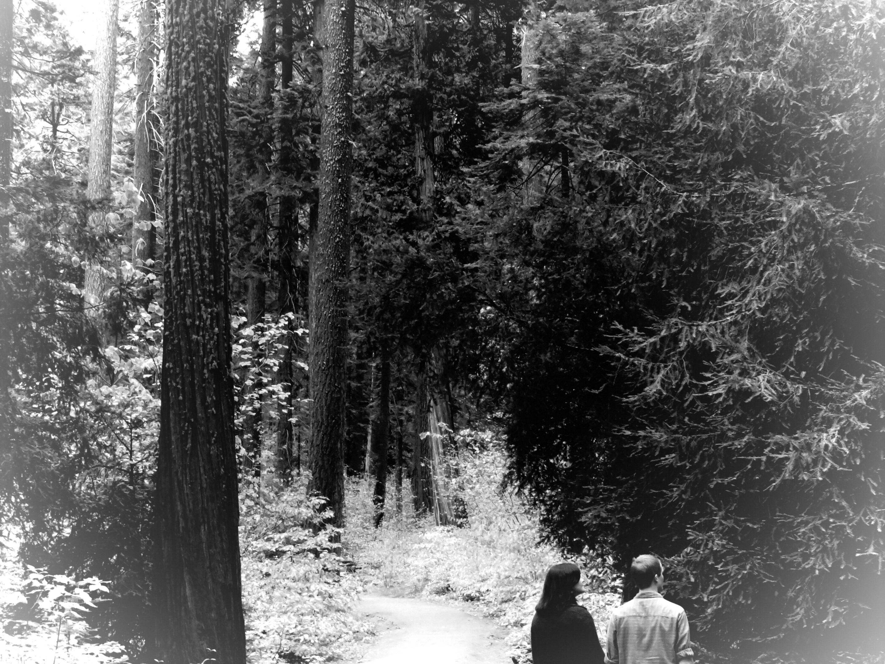 Album Photo 20