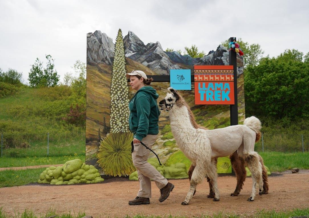 Picture of Minnesota Zoo