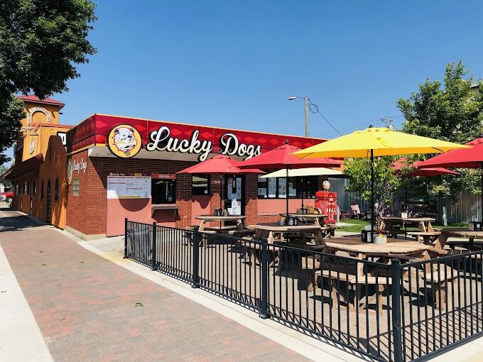 Picture of Lucky Dogs
