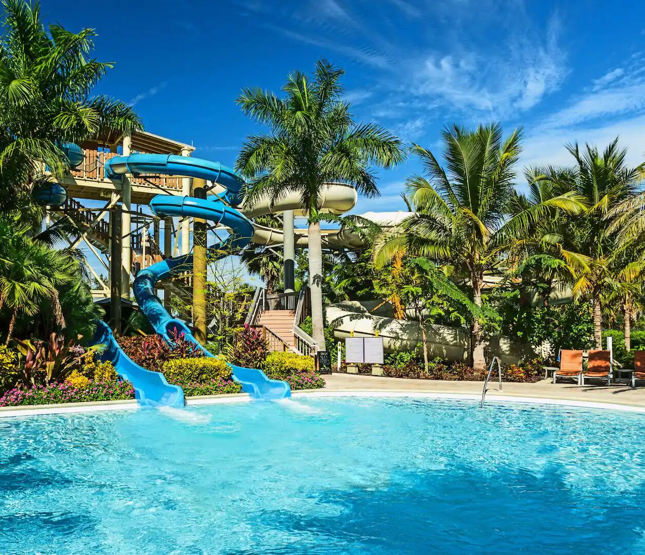 Picture of Hyatt Regency Coconut Point Resort