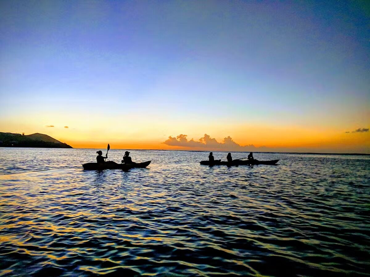 Picture of Bush Tribe Eco Adventures
