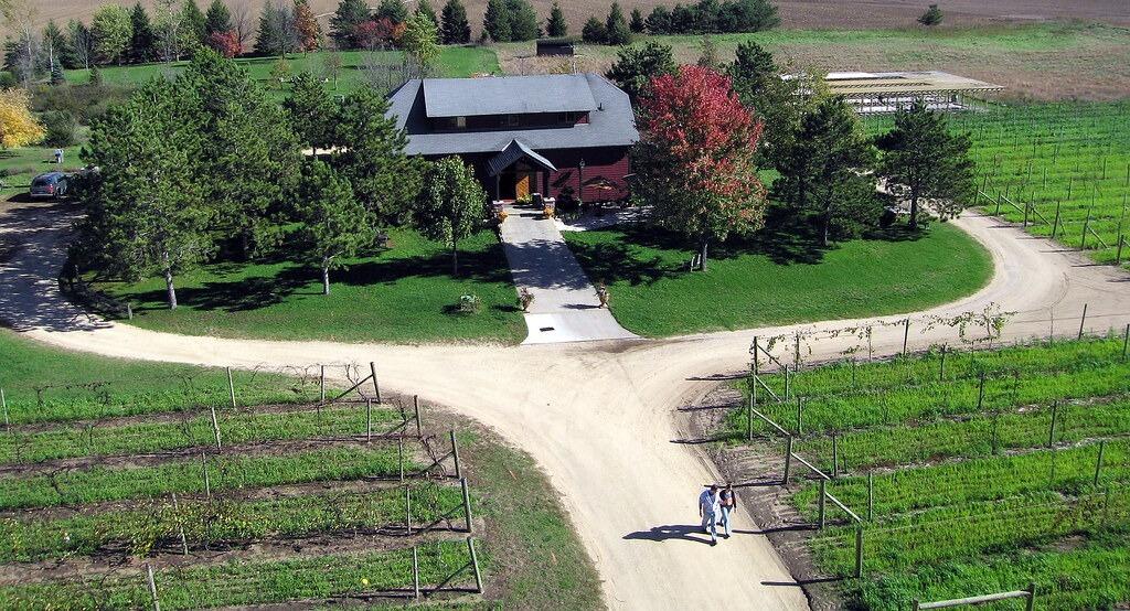 Picture of Alexis Bailly Vineyard