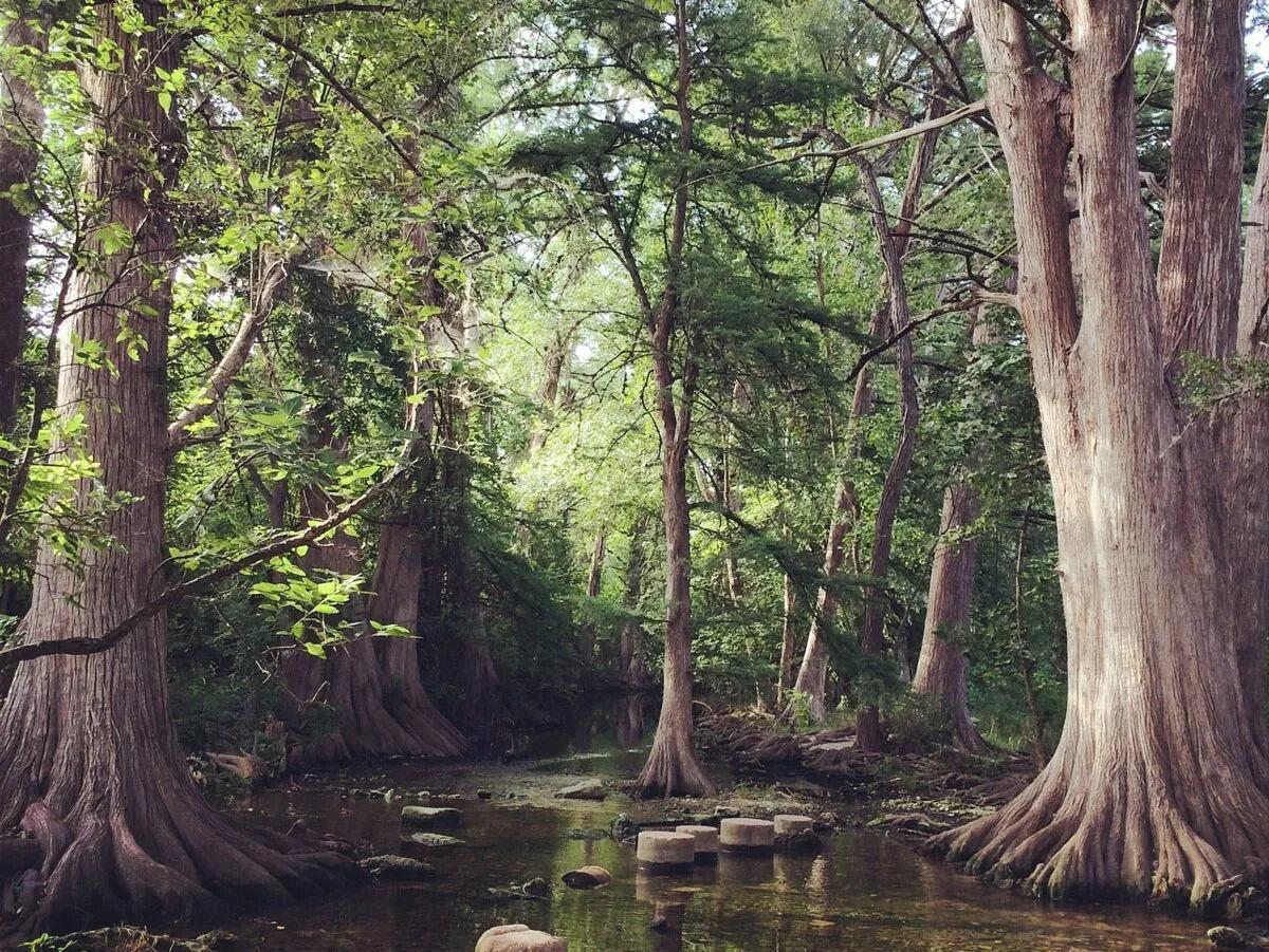 Picture of Cibolo Center for Conservation