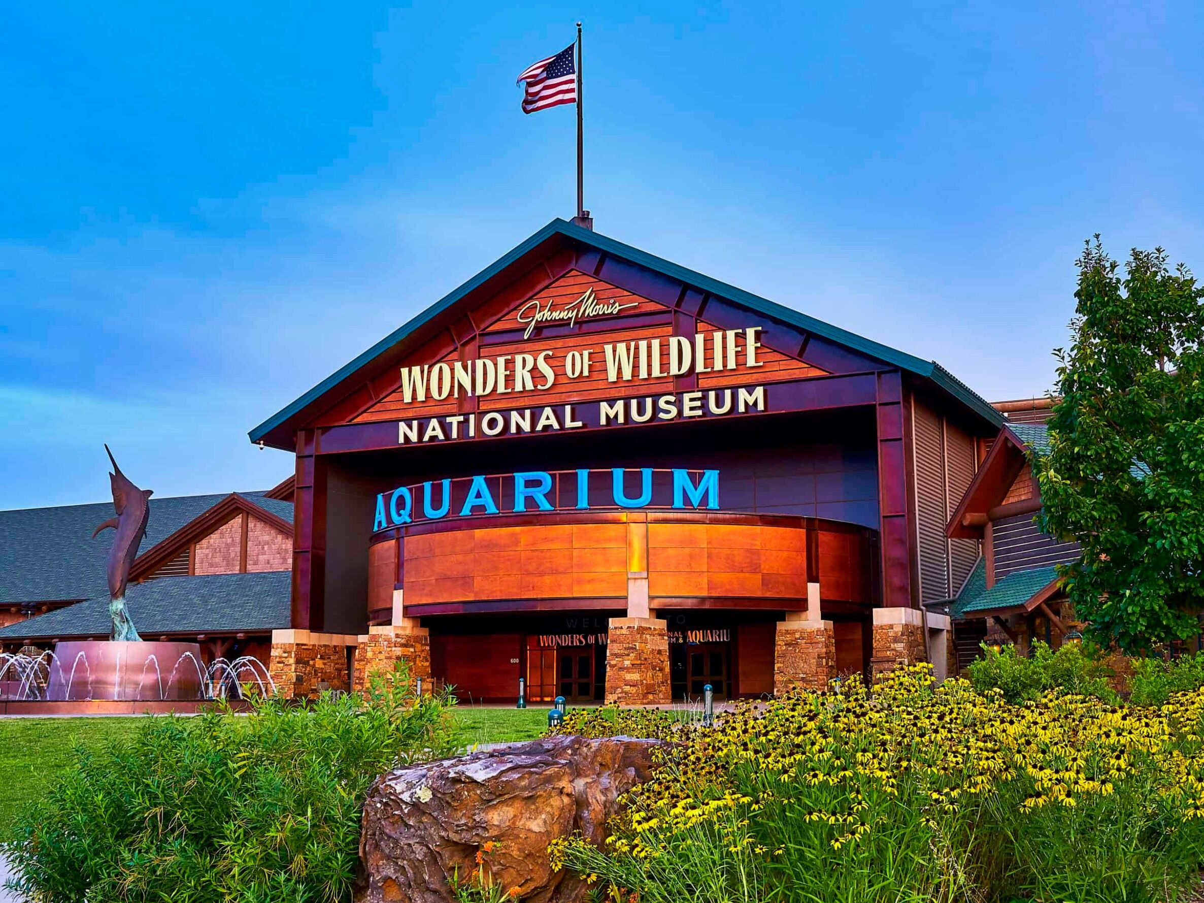 Picture of Wonders Of Wildlife National Museum & Aquarium