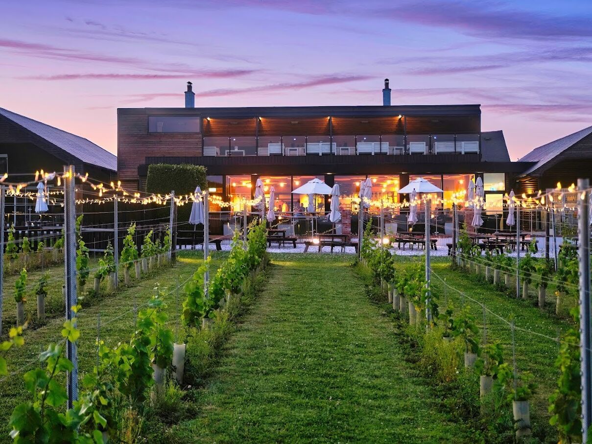 Picture of Llanerch Vineyard Hotel