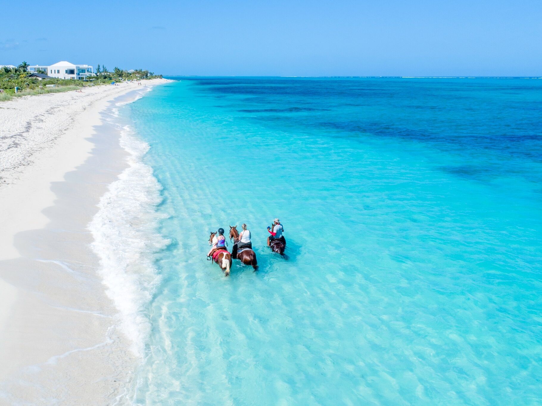 Picture of Unique Tours and Rentals (Horseback Riding Tours, Safari Tours, Jet Ski Tours and more)