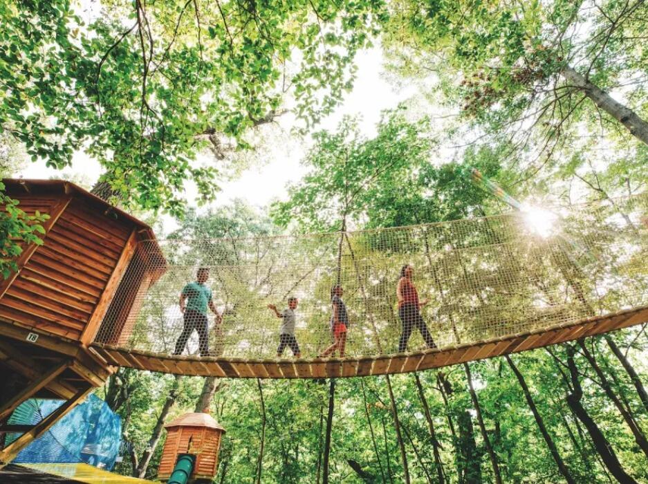 Picture of Tree Adventure