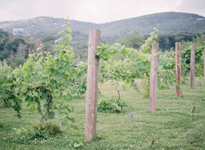 Mountainside Vineyard Ceremony at Banner Elk Winery