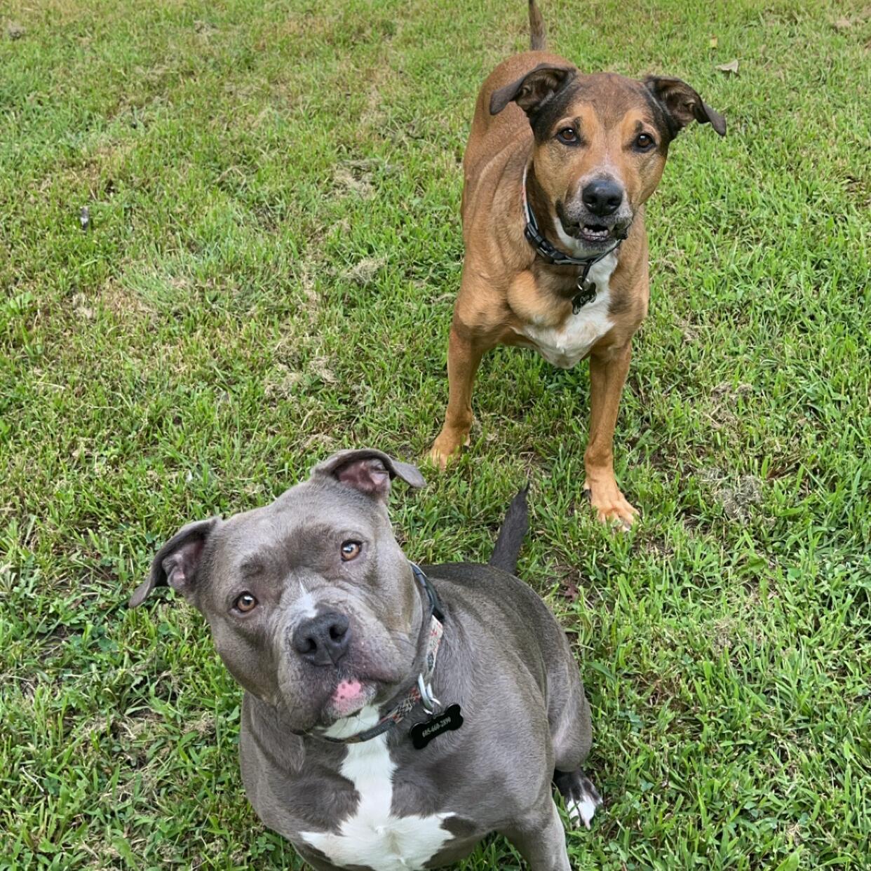 Otis & Xena