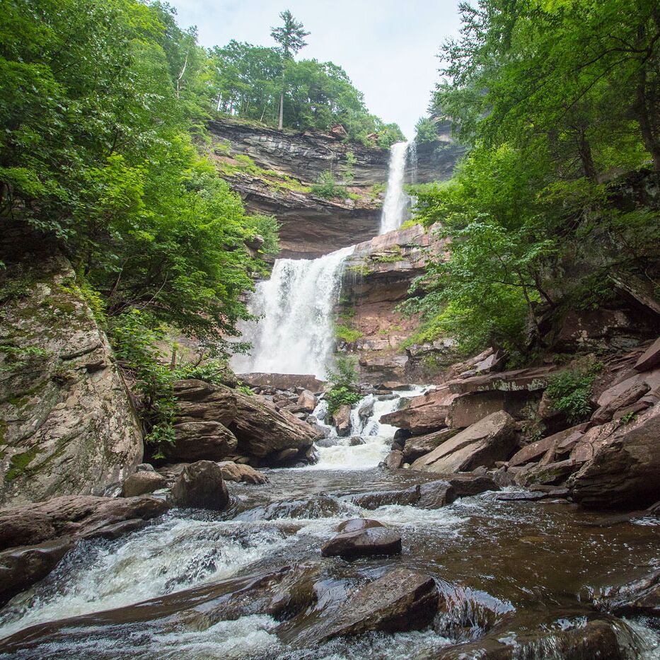 Picture of Catskill Park 