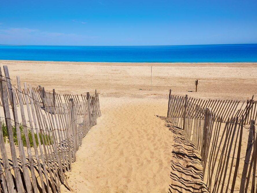 Picture of Sandy Neck Beach