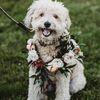 The Bride Rocked a Patterned Dress at This Coastal Garden Wedding in Biddleford Pool, Maine