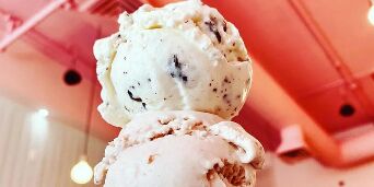 Picture of The Scoop