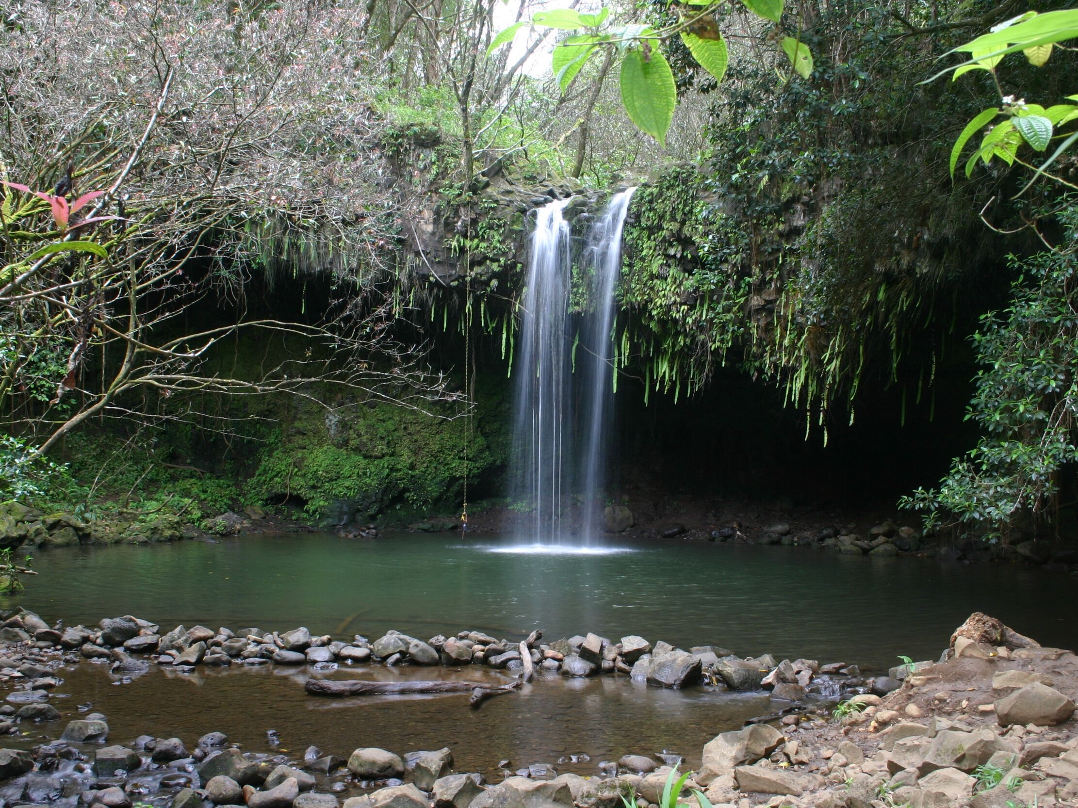 Picture of July 6 | Twin Falls Waterfall Hike