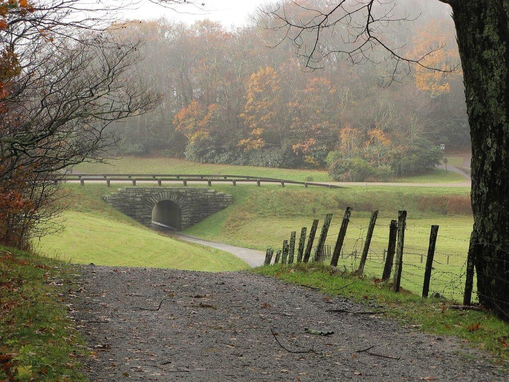 Picture of Moses H. Cone Memorial Park