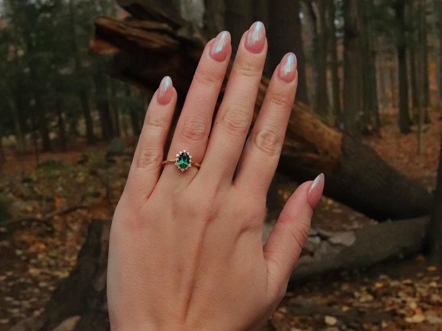 Picture of The Proposal...