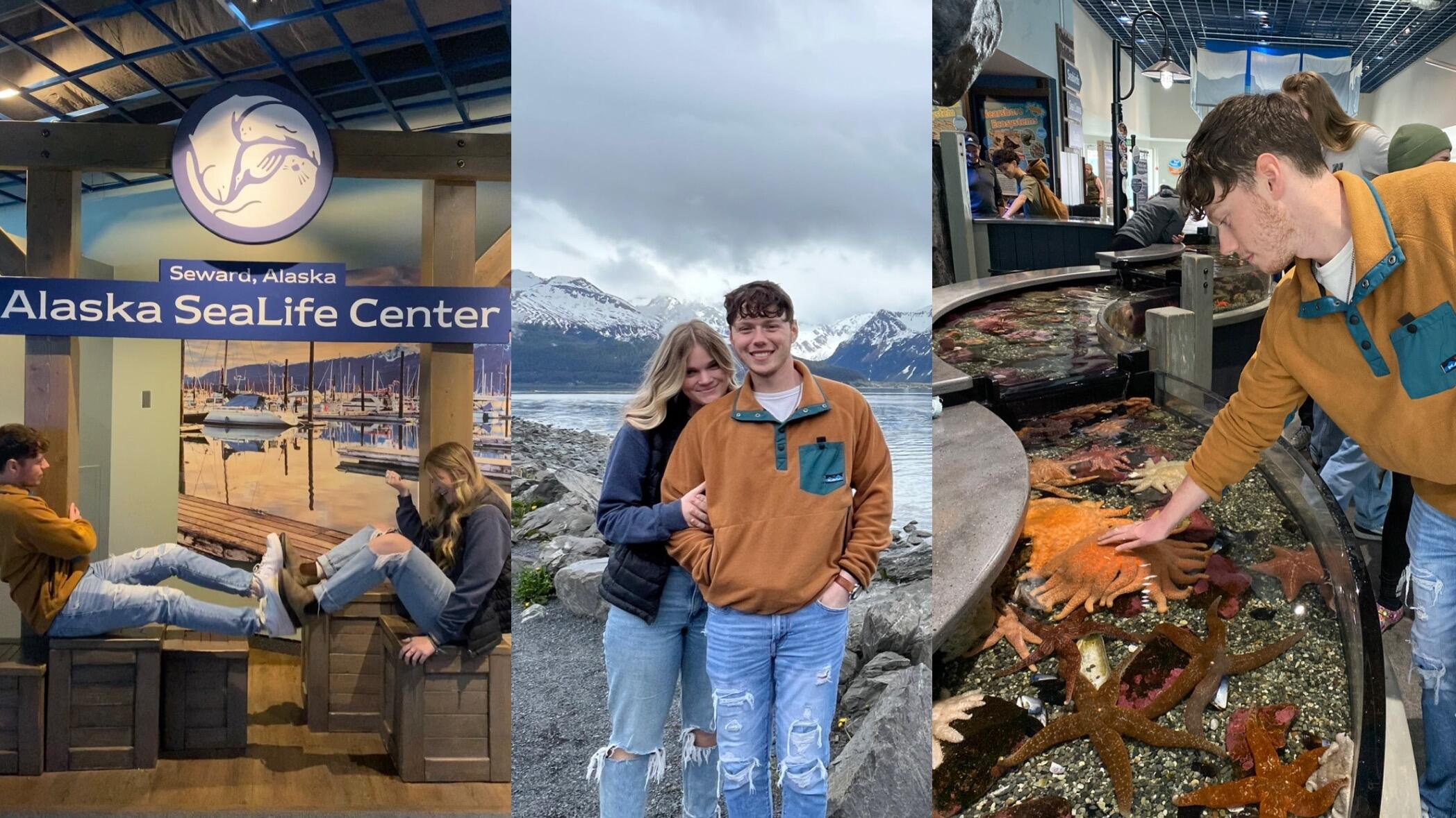 Picture of Alaska SeaLife Center