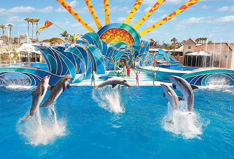 Picture of SeaWorld San Diego