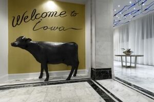 Picture of The Current Iowa Autograph Collection