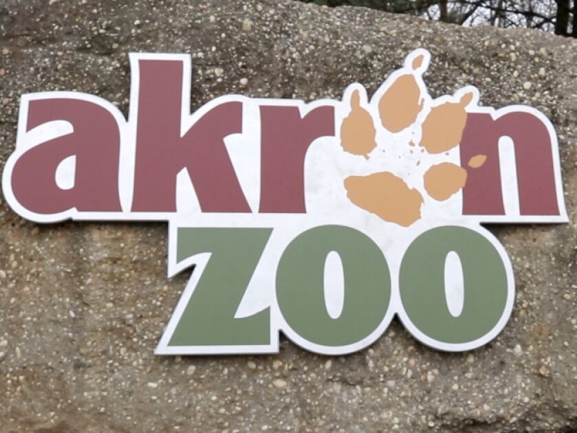 Picture of Akron Zoo