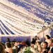 The long reception tables were topped with a runner of vintage library card boxes filled with greenery. "Everything looked so whimsical mixed with the twinkle lighting and the clear top tent," says Jenn. "I felt like we were in a secret garden."