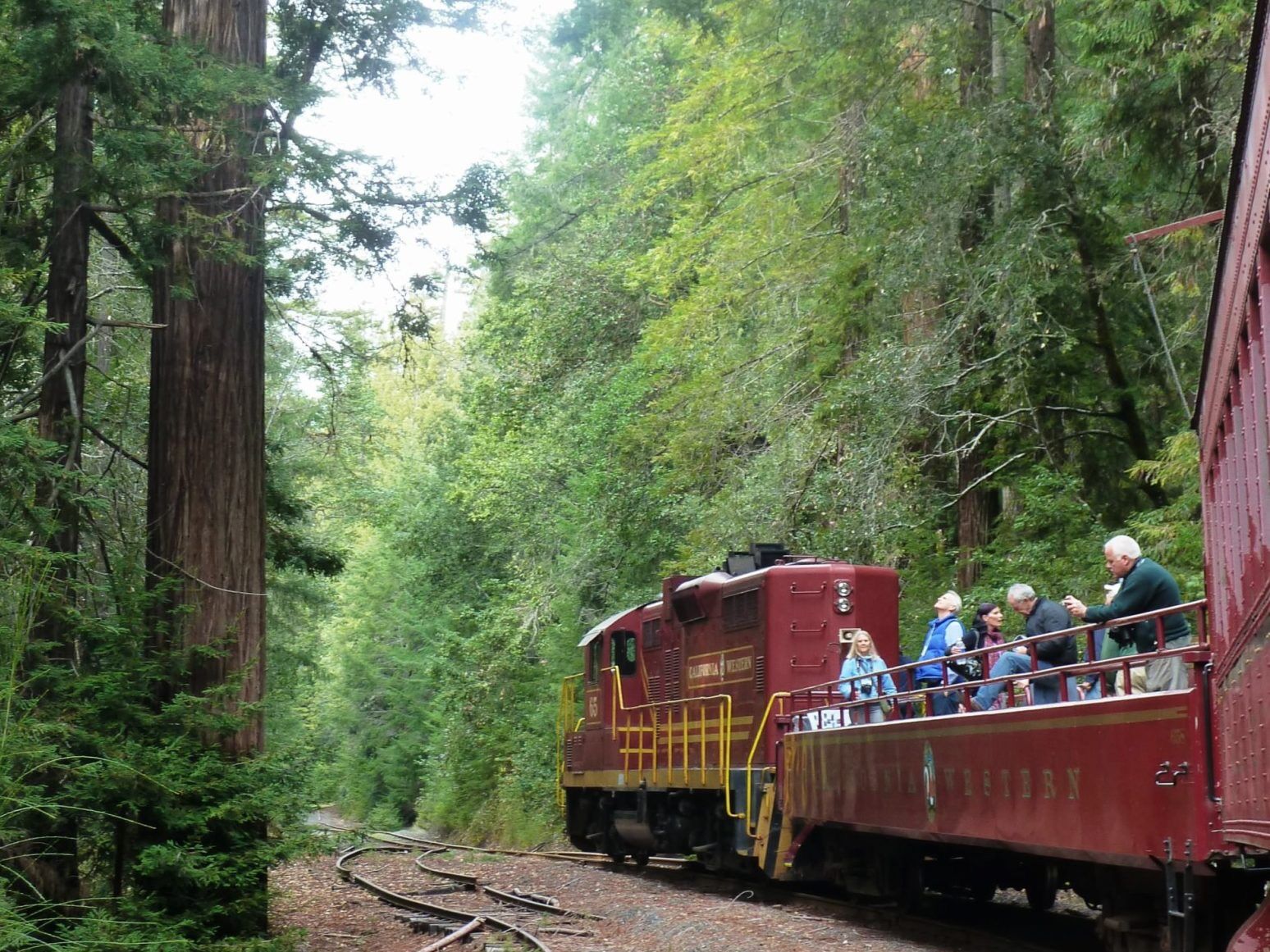 Picture of The Skunk Train